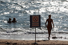 В поисках акулы