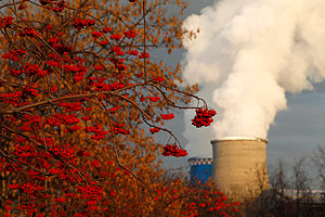 Один день тепла, шесть дней холода