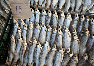 Не действовать методами 37-го года