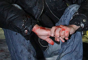 Убийство на юге Москвы: Скаут, Гризли и Гектор