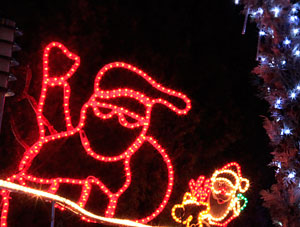 Сколько стоят каникулы