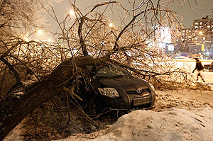 Последствия ледяного дождя: кто в ответе и как бороться