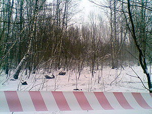 Фрагменты Ан-22 в Тульском лесу