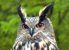 Это просто жизнь