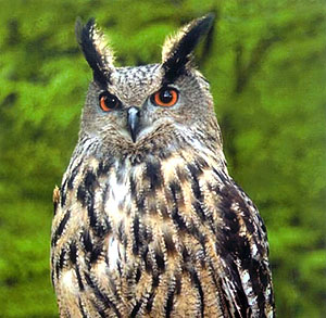 Это просто жизнь