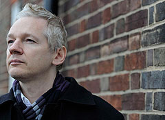 Потери Wikileaks