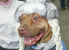 Это просто жизнь