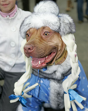 Это просто жизнь