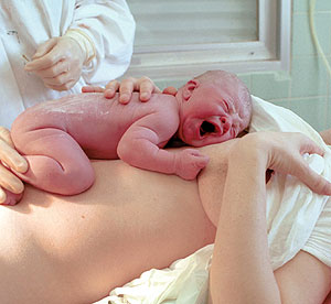 Это просто жизнь