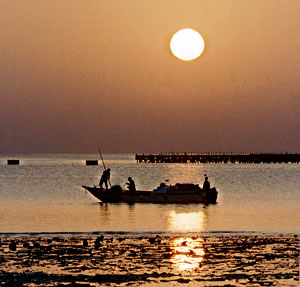 Египет навсегда