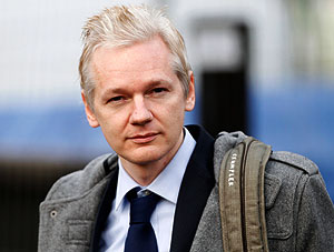 Ассанж потянет Нобеля?