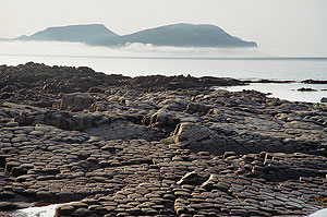 Внимание, Курилы