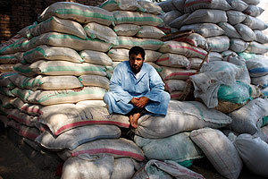 Засуха и революция