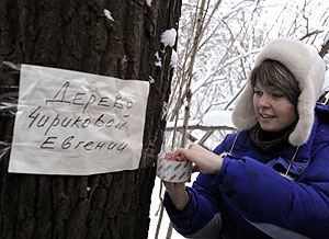 Для дерева просят защиты в ООН