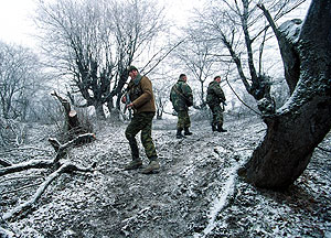 Ставрополье: боевые и небоевые потери