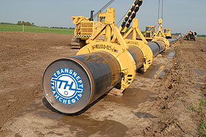 Навального поддержали