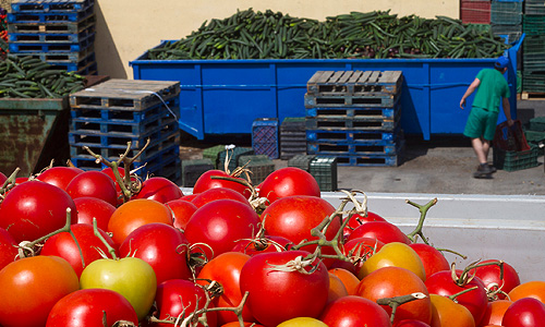 Россия  ввела запрет на ввоз свежих овощей из всех стран Евросоюза