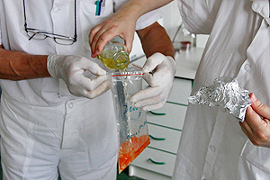 Палочка раздора