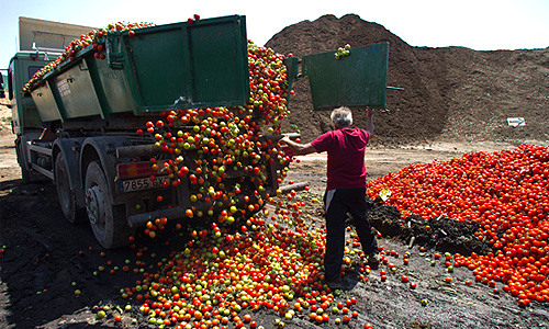 Россия снимет запрет на поставку овощей из стан ЕС после предоставления гарантий безопасности от Еврокомиссии