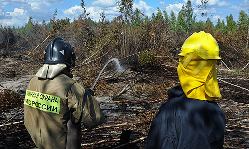 Сотрудники МЧС во время тушения торфяников в Шатурском районе.