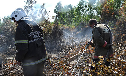 Сотрудники МЧС во время тушения торфяников в Шатурском районе.