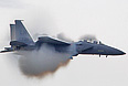   F-15 Eagle       -2011  