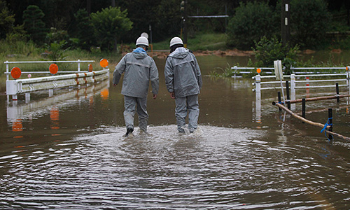 Сформировавшийся в Тихом океане тайфун "Рок" добрался в среду до побережья Японии, объявили местные метеорологи. Первый удар стихийного бедствия пришелся на префектуру Сидзуока, в центральной части страны.