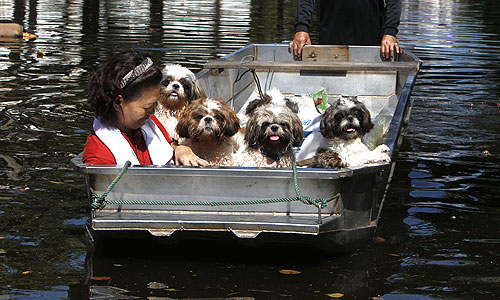 В Таиланде из-за наводнений введен режим ЧС.