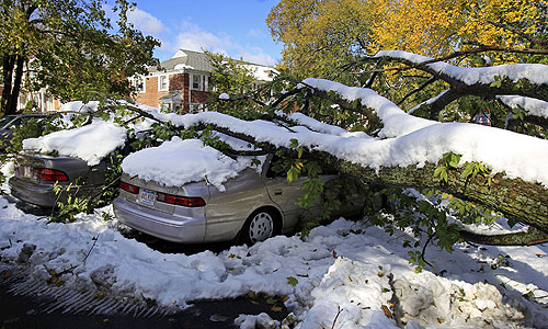 Высота снежного покрова в ряде мест достигает 80 см. Особенность снежной бури заключается в том, что снег падает на деревья, на которых еще висят листья. Под тяжестью снега, который собирают деревья, ветки ломаются и падают на линии электропередач, дороги, дома и автомобили.