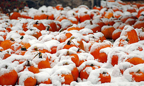 Телеканал CNN сообщил, что из-за редкого для этого времени года снегопада губернаторы штатов Нью-Джерси, Коннектикут, Массачусетс и Нью-Йорка объявили о введении чрезвычайного положения. Нарушено железнодорожное и авиасообщение. За минувшие сутки на восточном побережье США отменены сотни авиарейсов. Многие аэропорты были закрыты.