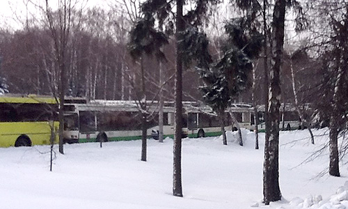 Автобусы, на которых привозят участников митинга "Нам есть что терять" на Поклонной горе.