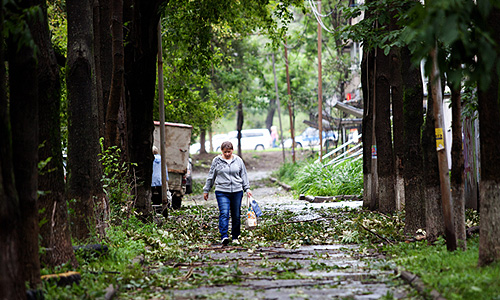 Последствия штормового ветра на одной из улиц Владивостока.