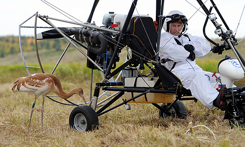 Владимир Путин за штурвалом мотодельтаплана перед полетом на территории орнитологической станции "Кушеват" на Ямале. В. Путин принял участие в научном эксперименте в рамках проекта "Полет надежды" по спасению редкого вида журавлей - стерхов, цель которого - показать выращенным в питомнике птицам маршрут перелета.