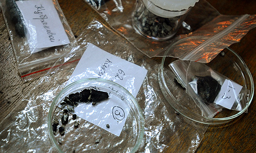 Во время исследования фрагмента метеорита, осколки которого были найдены на территории Челябинской области, в лаборатории геохимии благородных металлов Института геохимии и аналитической химии им. В.И. Вернадского РАН.