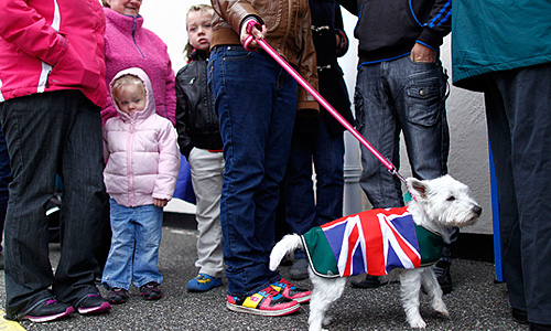 По официальным данным, 98,8% проголосовавших на референдуме избирателей хотят, чтобы острова остались заморской территорией Великобритании. В общей сложности, в голосовании приняли участие около 1,5 тыс. человек - около 92% избирателей.