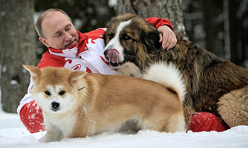 Овчарку российскому президенту подарил болгарский коллега Бойко Борисов ноябре 2010 года. Имя щенку выбирали на конкурсе, которй выиграл пятилетний Дима Соколов. Акита-ину - подарок японской префектуры Акита.