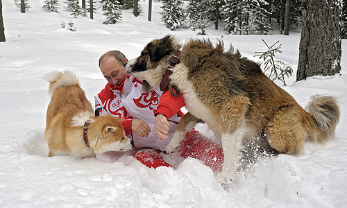 Овчарку российскому президенту подарил болгарский коллега Бойко Борисов ноябре 2010 года. Имя щенку выбирали на конкурсе, которй выиграл пятилетний Дима Соколов. Акита-ину - подарок японской префектуры Акита.
