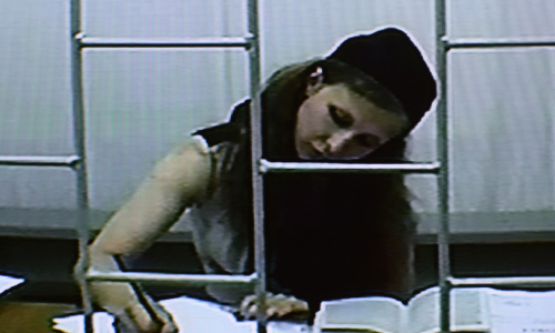 Пермский краевой суд отказал участнице Pussy Riot Марии Алехиной в ее просьбе лично присутствовать в зале заседаний, где идет рассмотрение ее жалобы на решение Березниковского горсуда, не выпустившего ее по УДО.