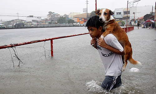 Наиболее опасная ситуация сложилась в самых бедных кварталах Манилы: из-за быстрого повышения уровня воды жители вынуждены подниматься на крыши домов и там ждать прибытия спасателей.