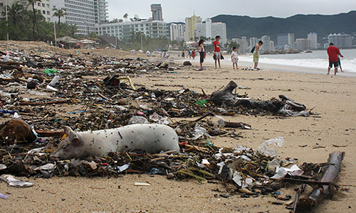 В мексиканском курортном городе Акапулько началась эвакуация тысяч туристов, прервавших отдых из-за обрушившегося на тихоокеанское побережье Мексики тропического шторма "Мануэль". Предстоит эвакуировать около 40 тыс. человек, большинство ожидает своей очереди во временных убежищах.
