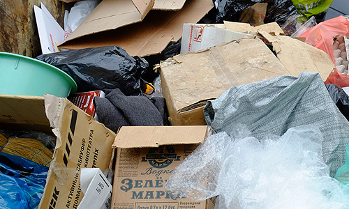 В понедельник в мусорном контейнере в подмосковной Салтыковке были обнаружены тела пяти мертвых младенцев. Сначала было найдено тело одного ребенка, после чего последовали еще четыре страшные находки. Каждое тело было завернуто в отдельный полиэтиленовый пакет.