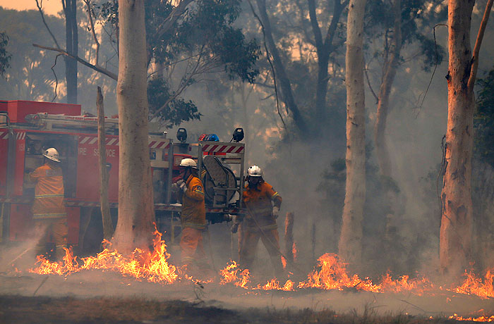 В Австралии горят леса