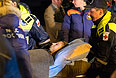 Сотрудники МЧС помогают перевезти пострадавших в результате теракта в Волгограде из самолета в санитарные машины.