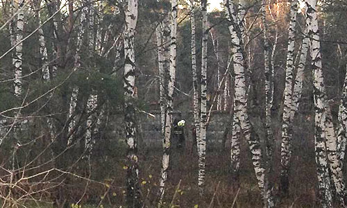 В московском районе Жулебино упал военный вертолет. В больницу госпитализированы два пилота. Данные о пострадавших не земле уточняются. После крушения произошло два взрыва и возник пожар на площади 20 кв. метров.