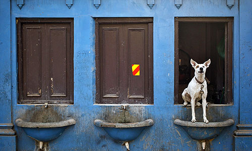 Старый квартал в Дели.