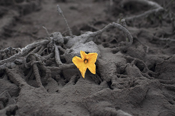 В связи с извержением вулкана Синабунг из опасной зоны эвакуировано почти 22 тысячи человек.