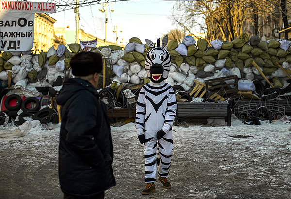 Зебра гуляет по Майдану не просто так. За определенную сумму с ней можно сфотографироваться на фоне баррикад.