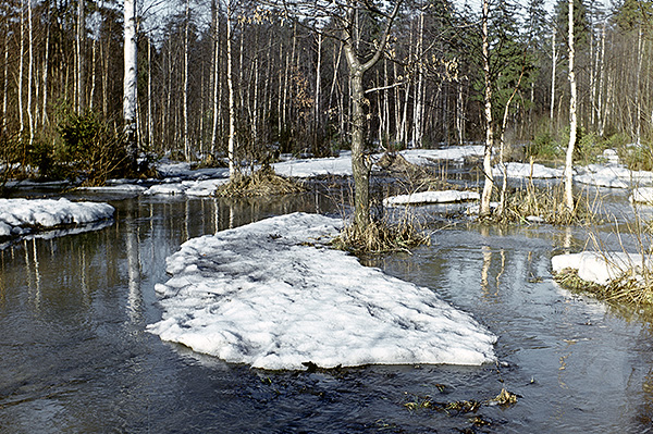 Весенний пейзаж.