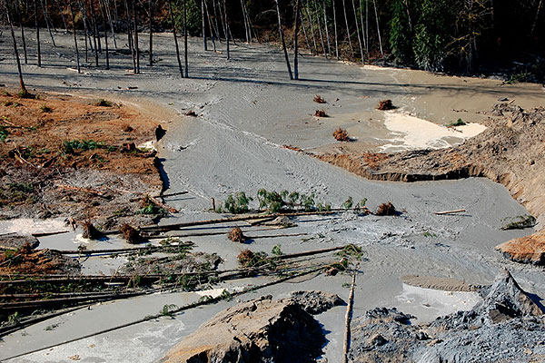 Город Деррингтон оказался полностью отрезанным от внешнего мира. Потоки грязи засорили северное разветвление реки Снохомиш. Власти опасаются, что прорыв дамбы из мусора может вызвать наводнение.