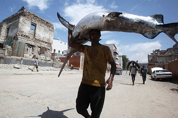 Сомалийский рыбак выловил рыбу-меч в порту Могадишу.